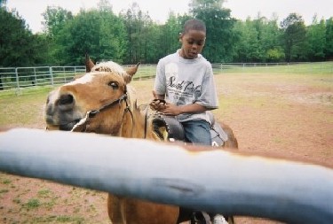 Horseback